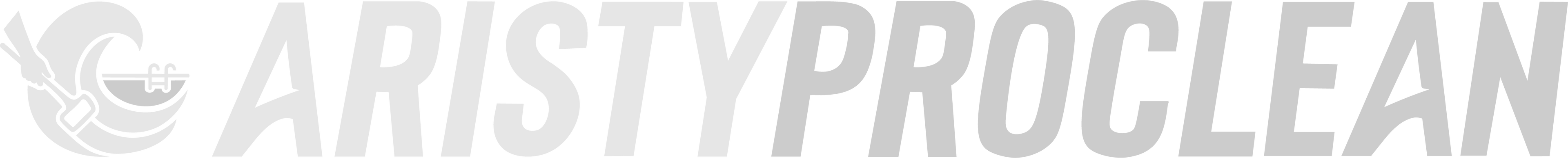 ARISTYPROCLEANING